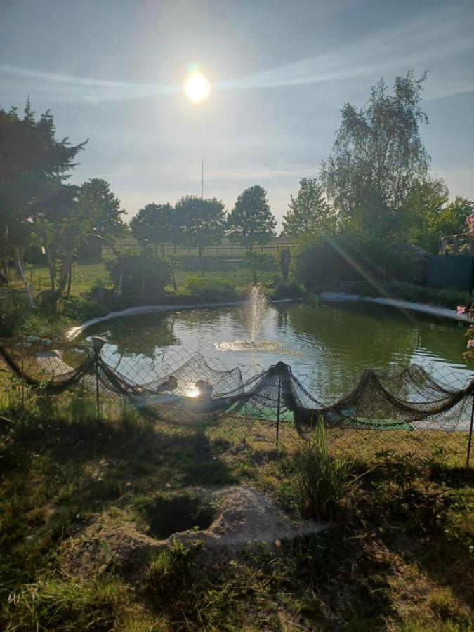 Zimmer Und Apartment Rosi Krakow am See Zewnętrze zdjęcie