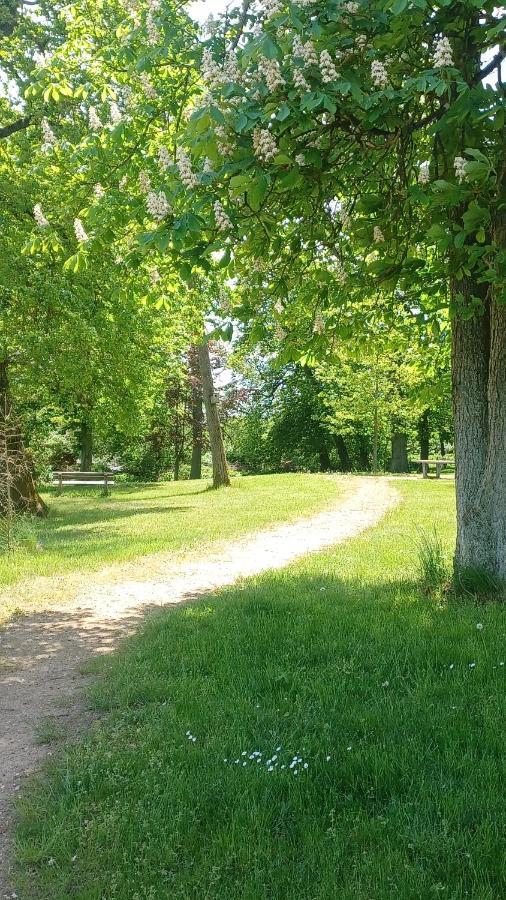 Zimmer Und Apartment Rosi Krakow am See Zewnętrze zdjęcie