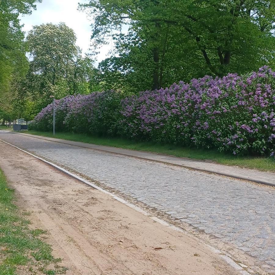 Zimmer Und Apartment Rosi Krakow am See Zewnętrze zdjęcie