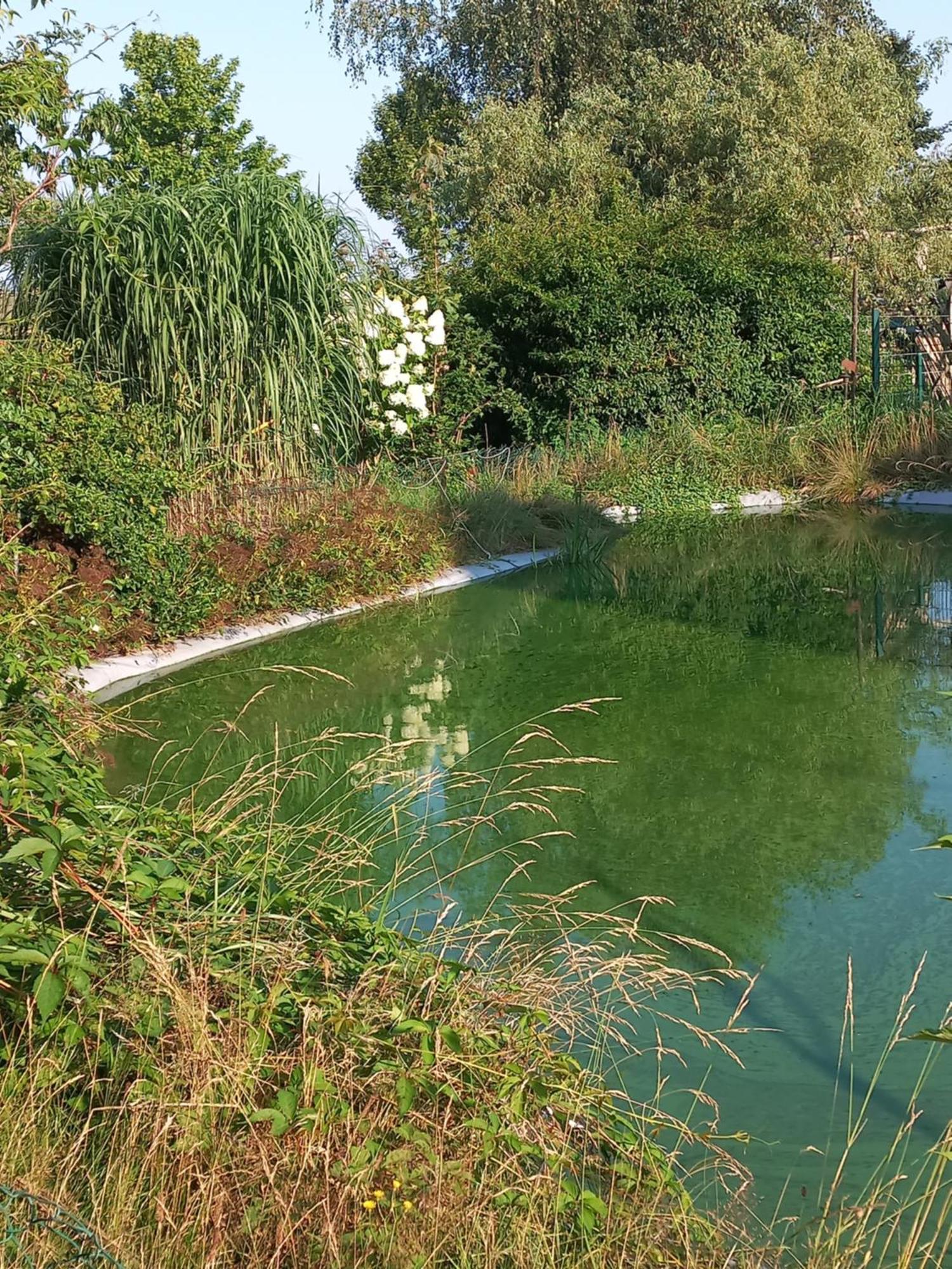 Zimmer Und Apartment Rosi Krakow am See Zewnętrze zdjęcie