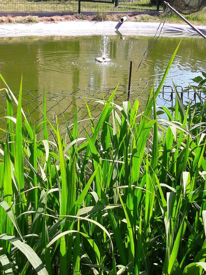 Zimmer Und Apartment Rosi Krakow am See Zewnętrze zdjęcie